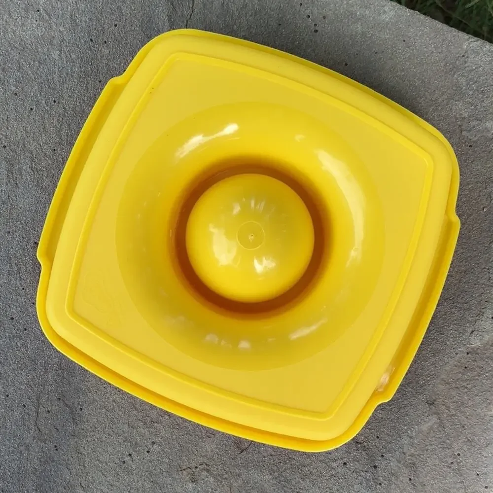 Colorful vintage Guatesplast food container‎